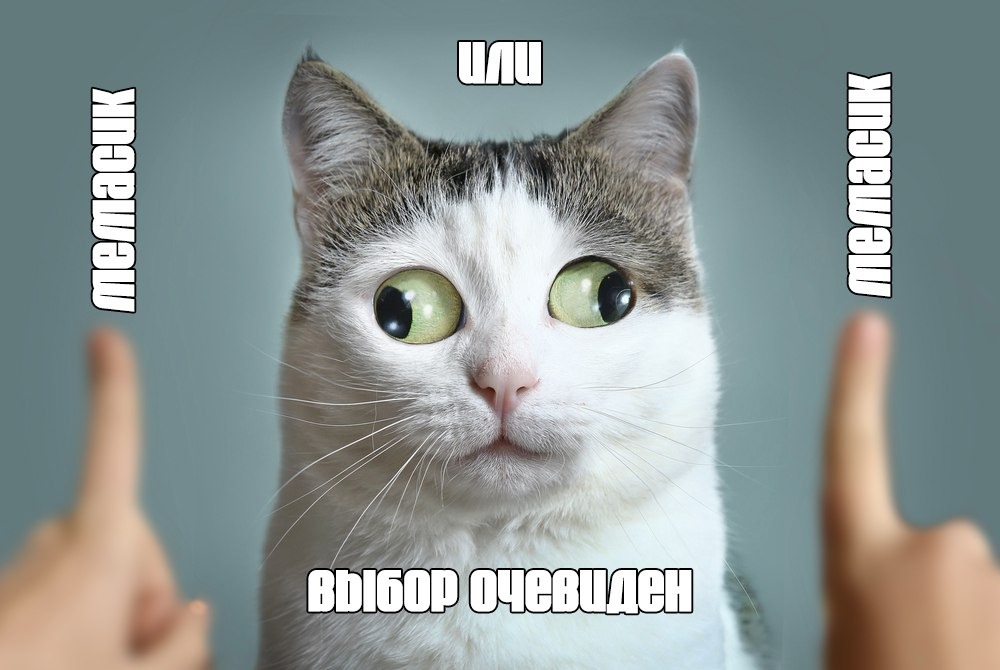 Memesique