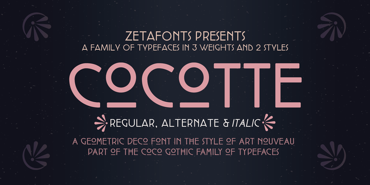 Cocotte