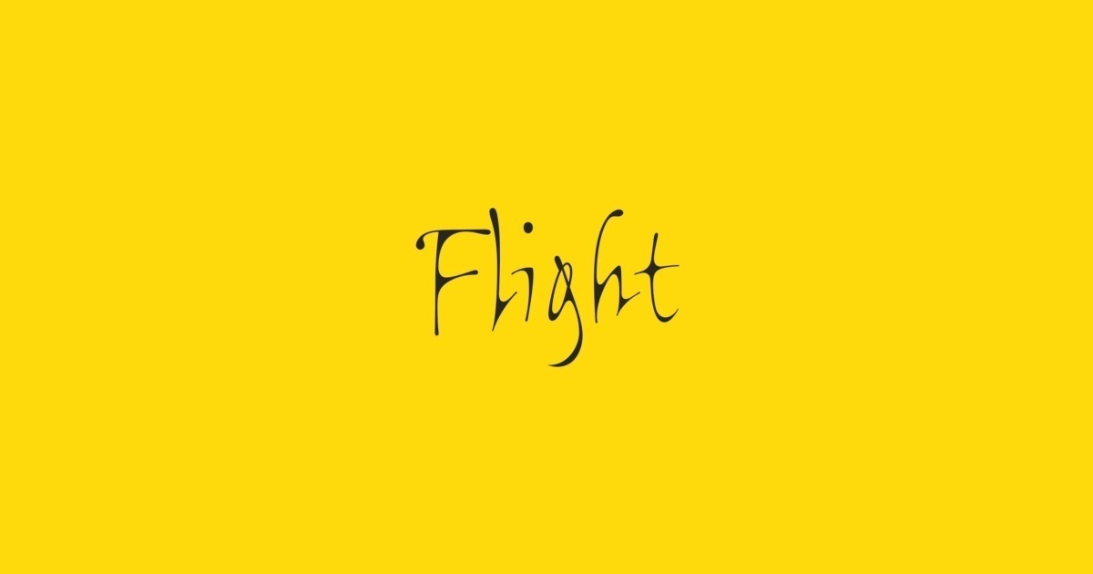 Flight