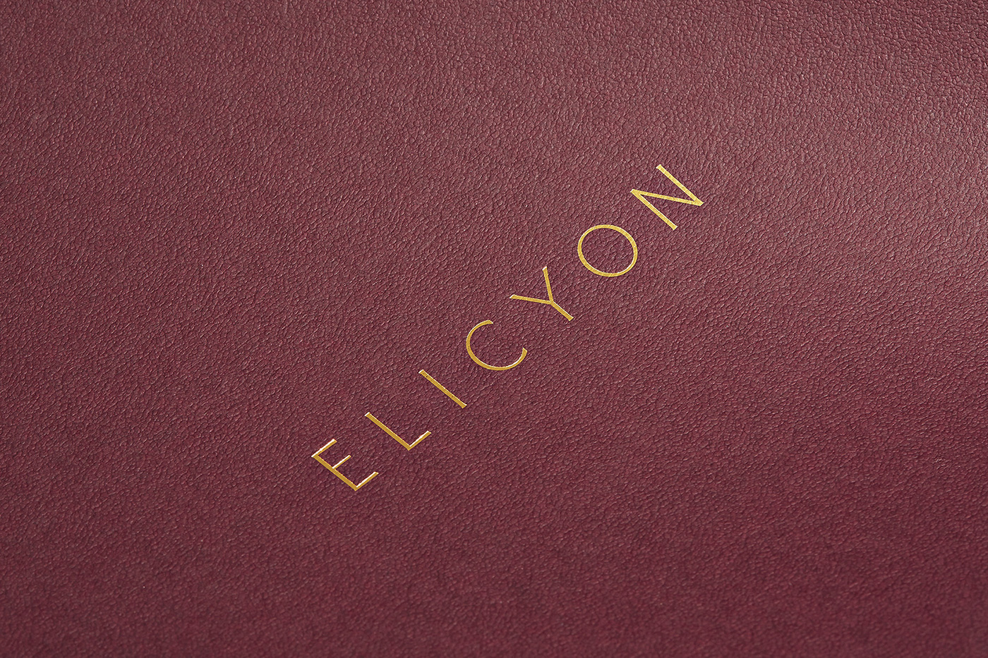 Elicyon