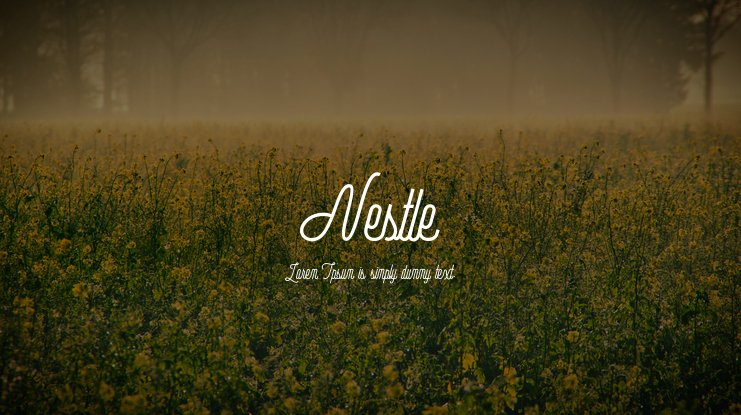 Nestle Script AR