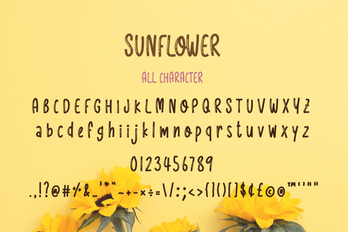 Morning Sunflower