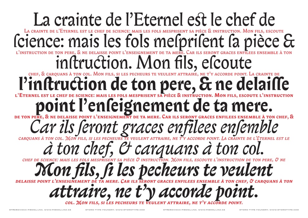 Biblon Pro